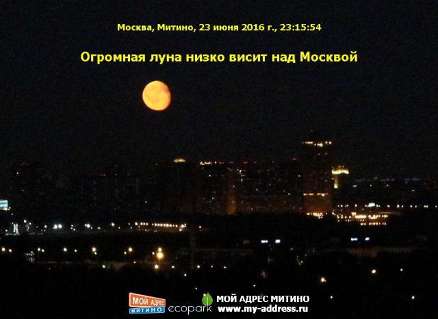 Огромная луна низко висит над Москвой, Москва, Митино, 23 июня 2016 г., 23:15:54
